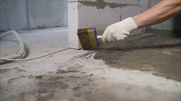 SJ Waterproofing Pros Waterproofing coverage map for Celina, TN and surrounding area